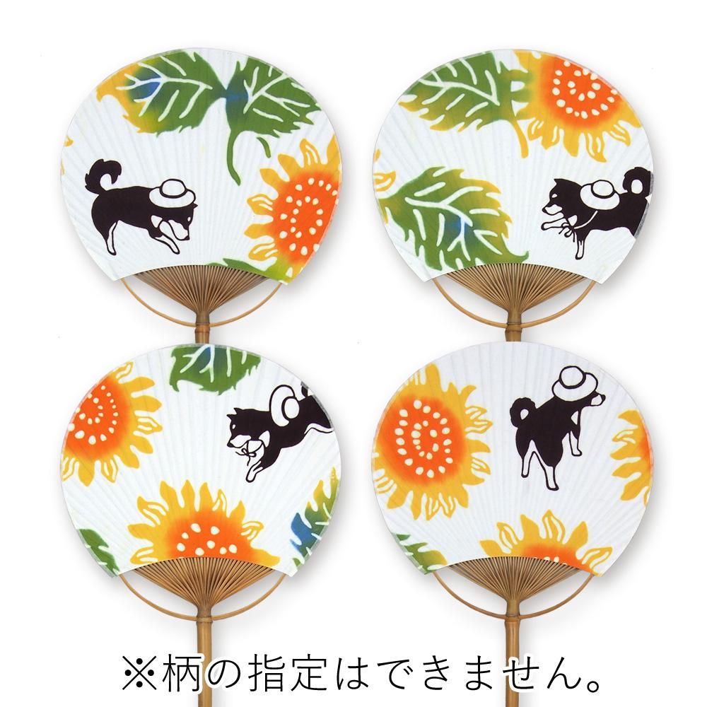 夏の散歩［うちわ］（限定品） 2