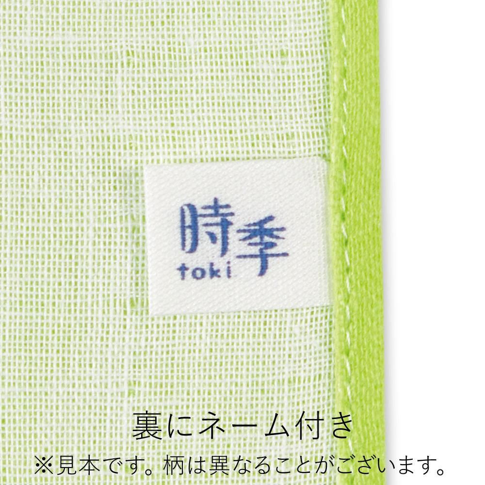 梅雨明け 4