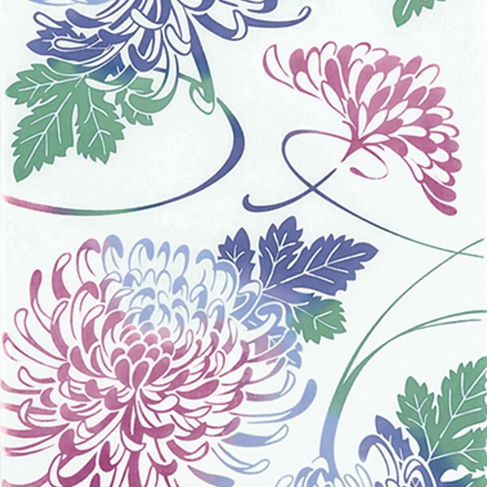 舞菊 3
