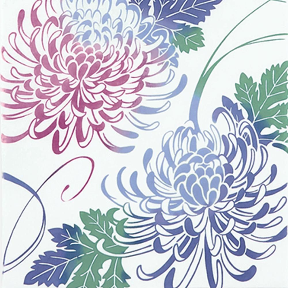 舞菊 4