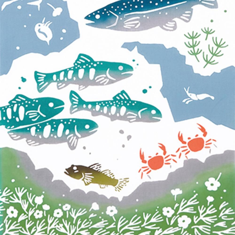 淡水魚 4