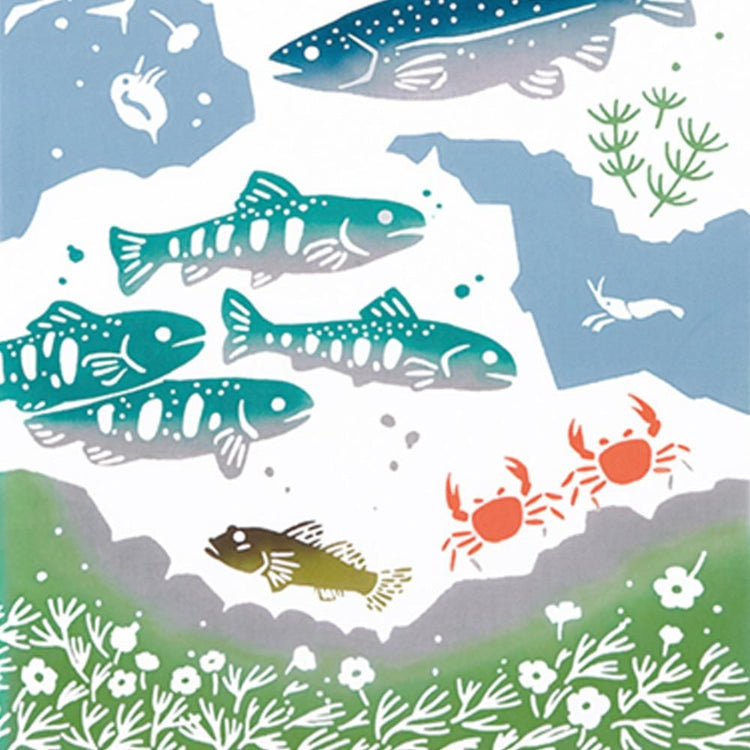 淡水魚 4