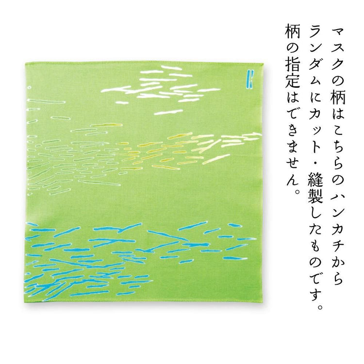 初夏の水田 2