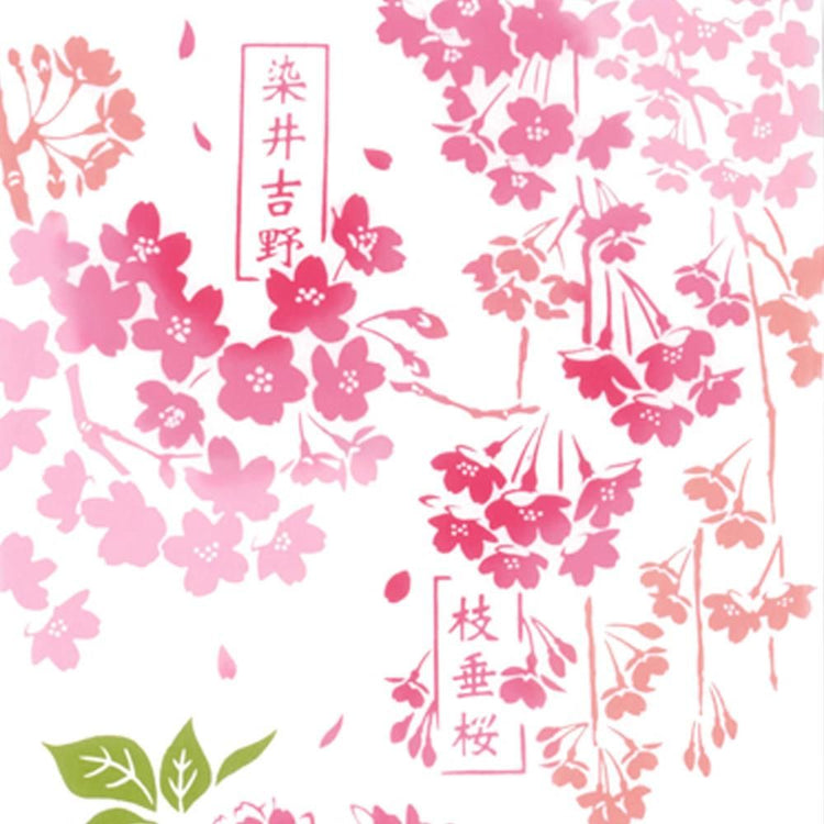 桜図鑑 2