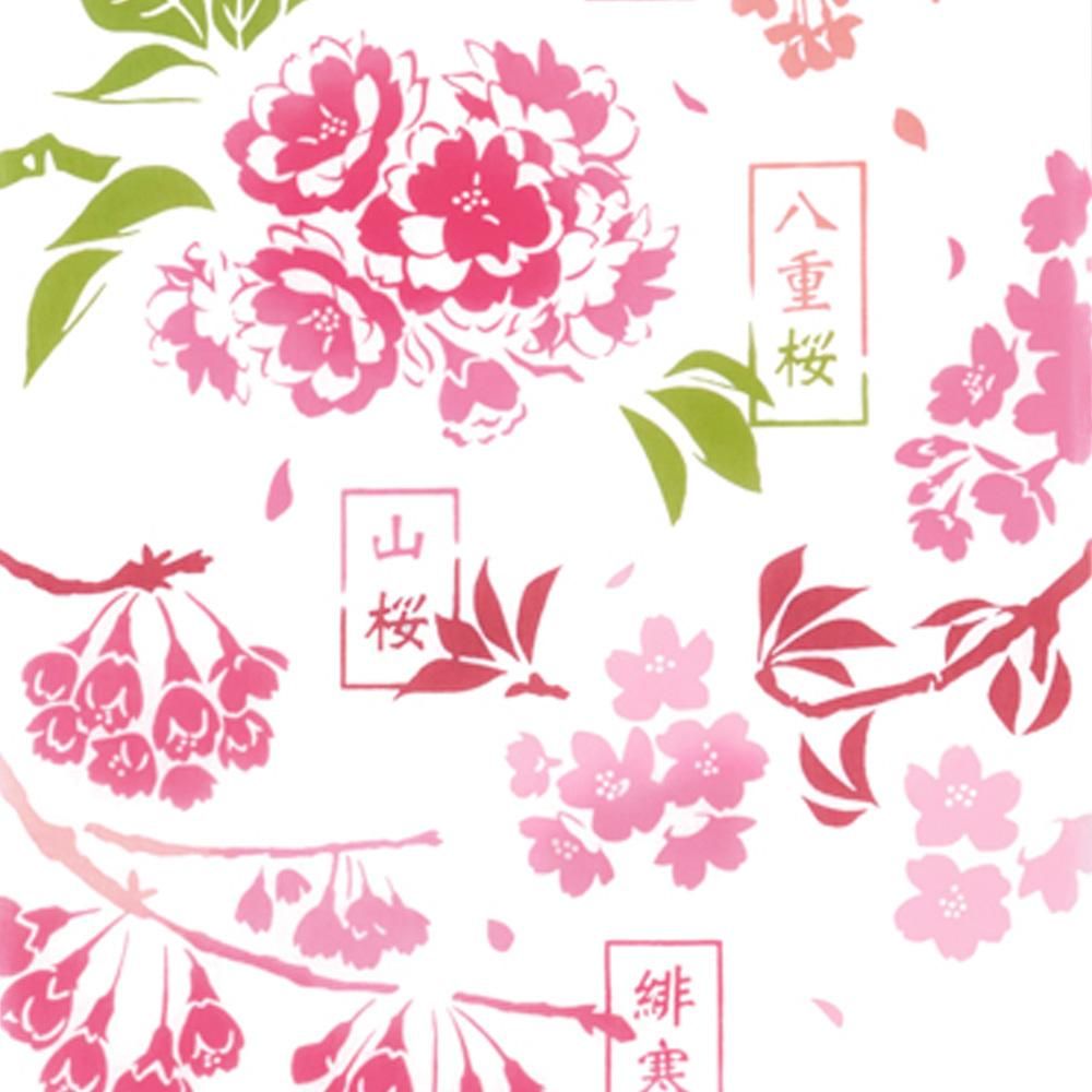 桜図鑑 3