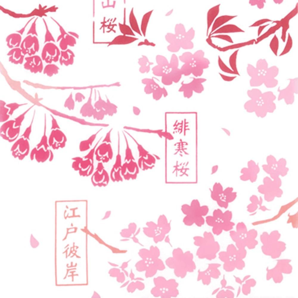 桜図鑑 4