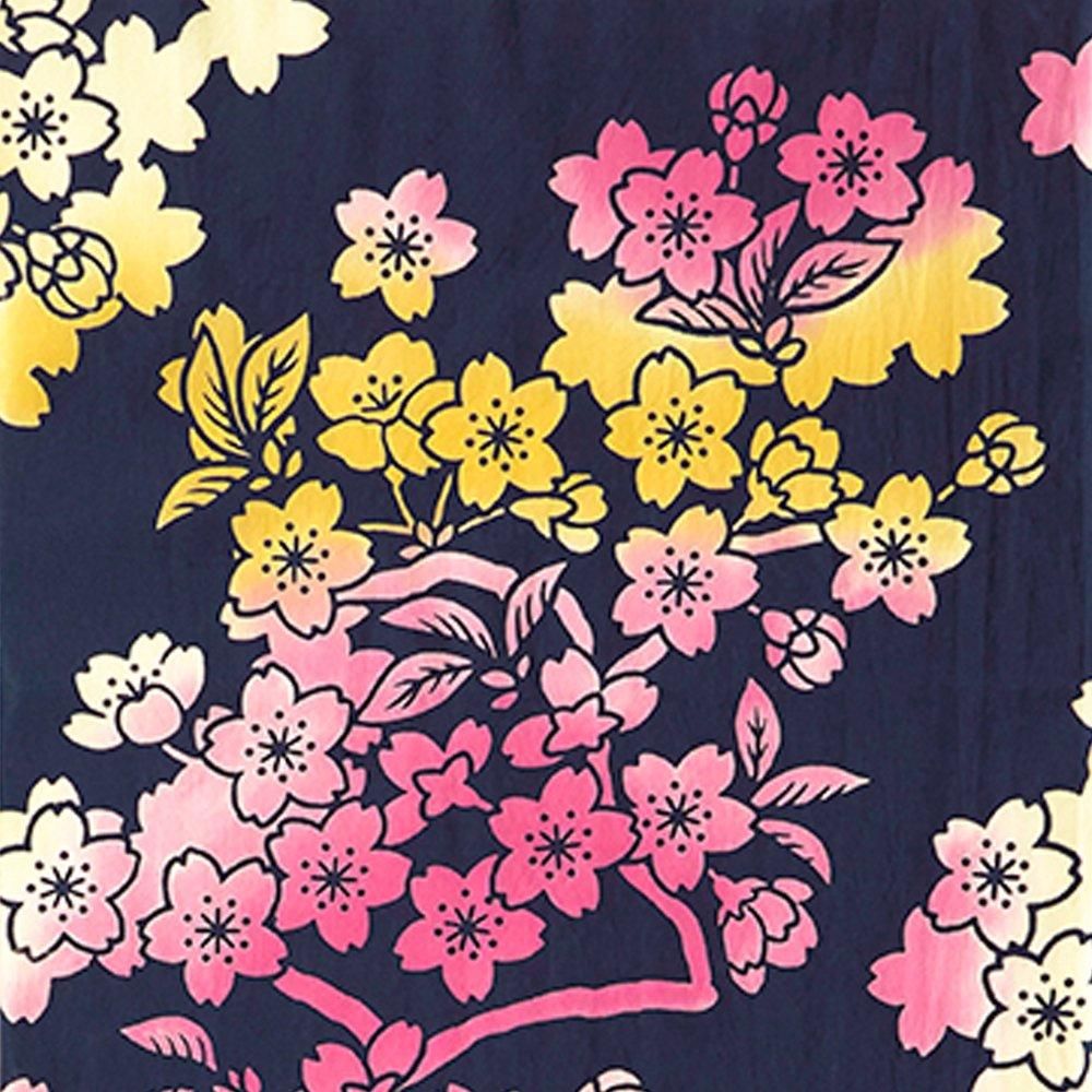 城下の桜 2