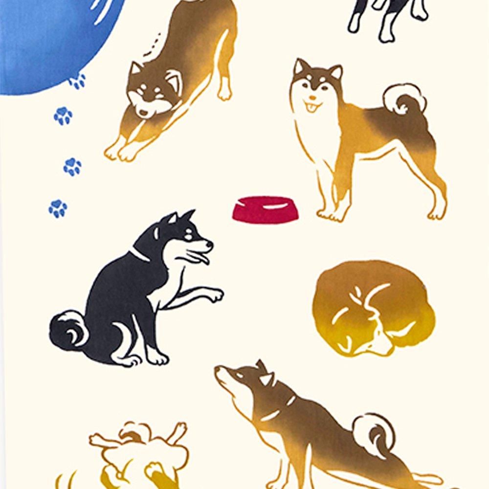 今日の柴犬 3
