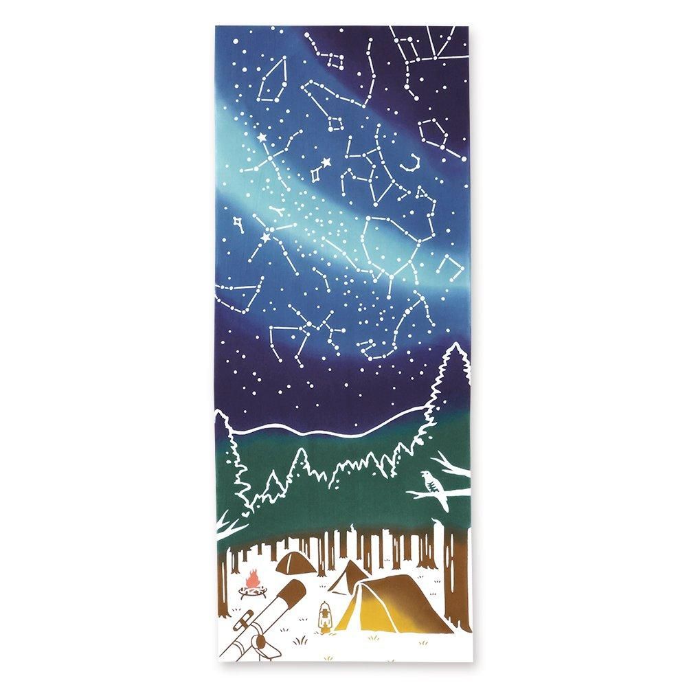 星空キャンプ