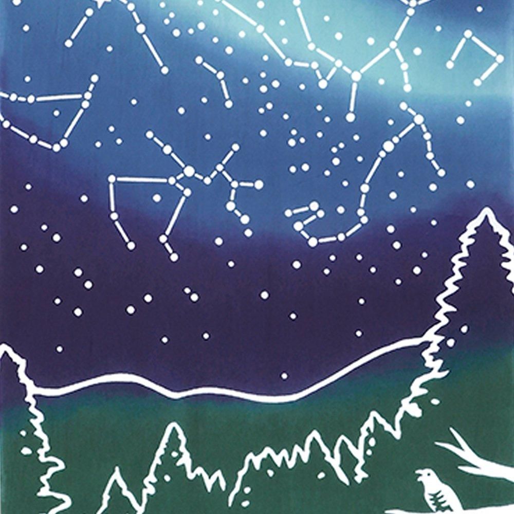 星空キャンプ 3